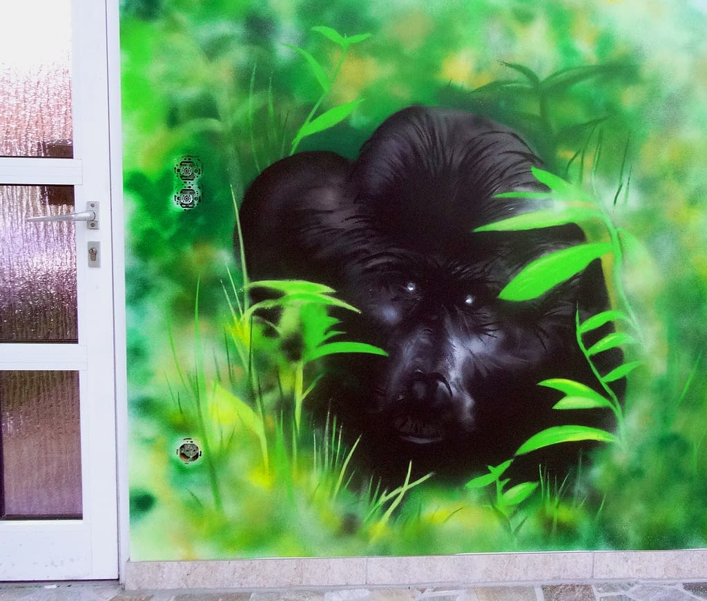 Graffiti mit Dschungelmotiven - BunteWaende.de